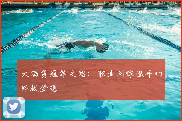 大满贯冠军之路:职业网球选手的终极梦想