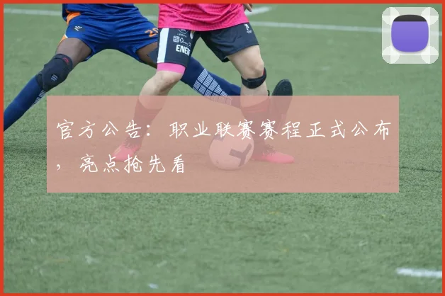 官方公告:职业联赛赛程正式公布,亮点抢先看