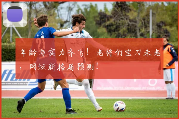 年龄与实力齐飞!老将们宝刀未老,网坛新格局预测!