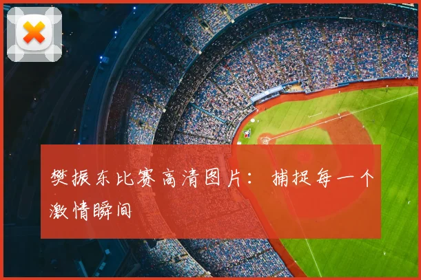 樊振东比赛高清图片:捕捉每一个激情瞬间