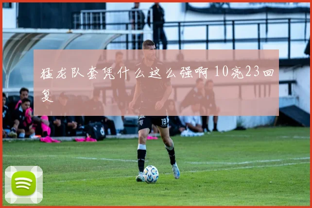 猛龙队套凭什么这么强啊 10亮23回复