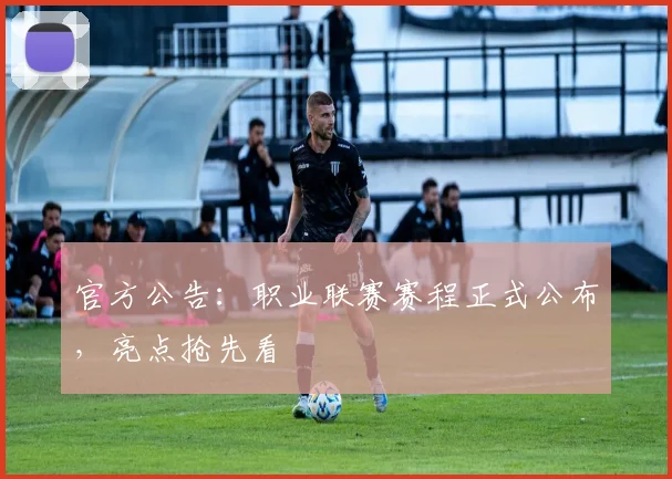官方公告:职业联赛赛程正式公布,亮点抢先看