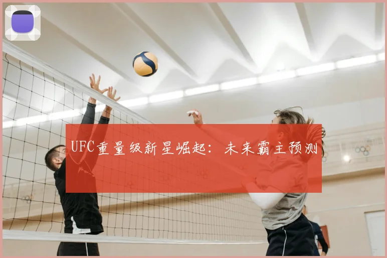 UFC重量级新星崛起：未来霸主预测