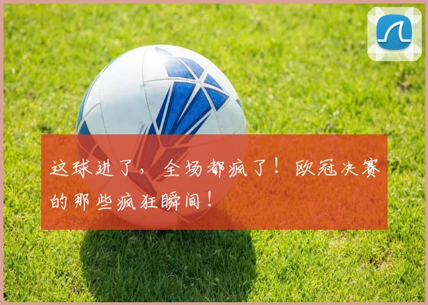 这球进了,全场都疯了!欧冠决赛的那些疯狂瞬间!