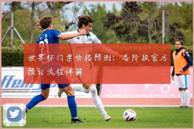 世界杯门票价格预测:各阶段官方预订流程详解
