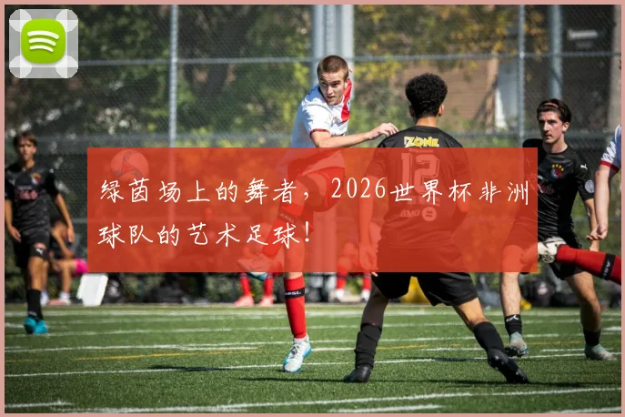绿茵场上的舞者,2026世界杯非洲球队的艺术足球!
