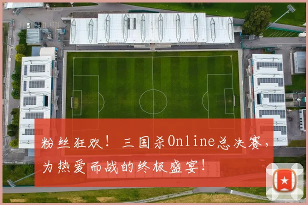 粉丝狂欢!三国杀Online总决赛,为热爱而战的终极盛宴!