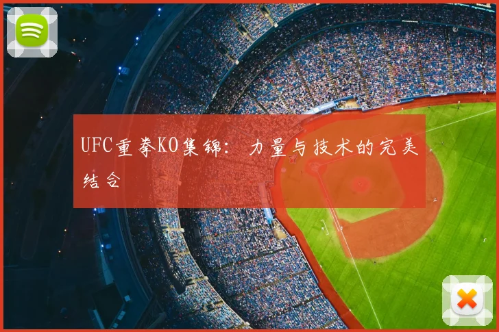 UFC重拳KO集锦:力量与技术的完美结合