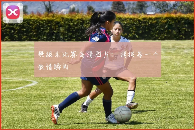 樊振东比赛高清图片:捕捉每一个激情瞬间