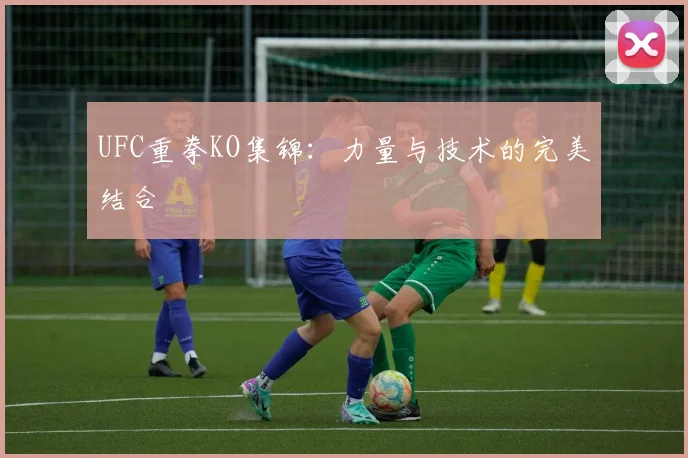 UFC重拳KO集锦:力量与技术的完美结合