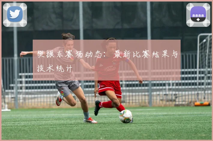 樊振东赛场动态:最新比赛结果与技术统计