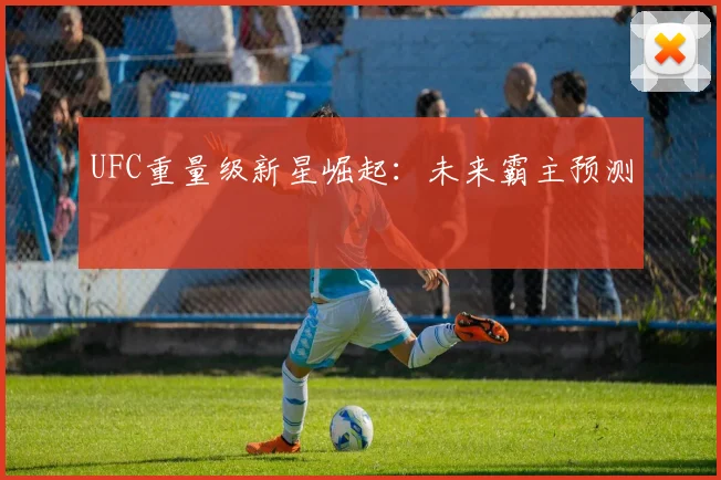 UFC重量级新星崛起:未来霸主预测