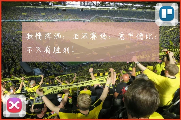 激情挥洒,泪洒赛场,意甲德比,不只有胜利!