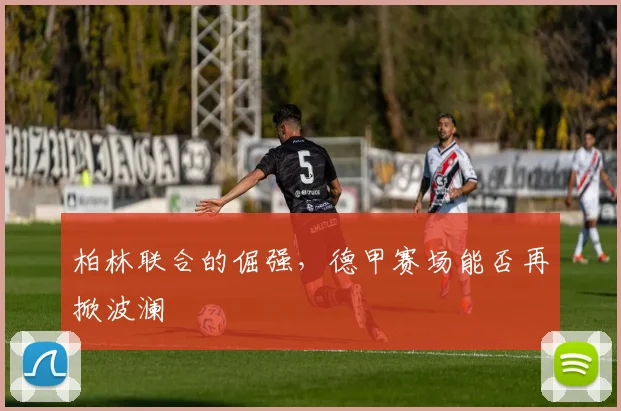 柏林联合的倔强,德甲赛场能否再掀波澜